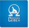 Bochnia Cebea